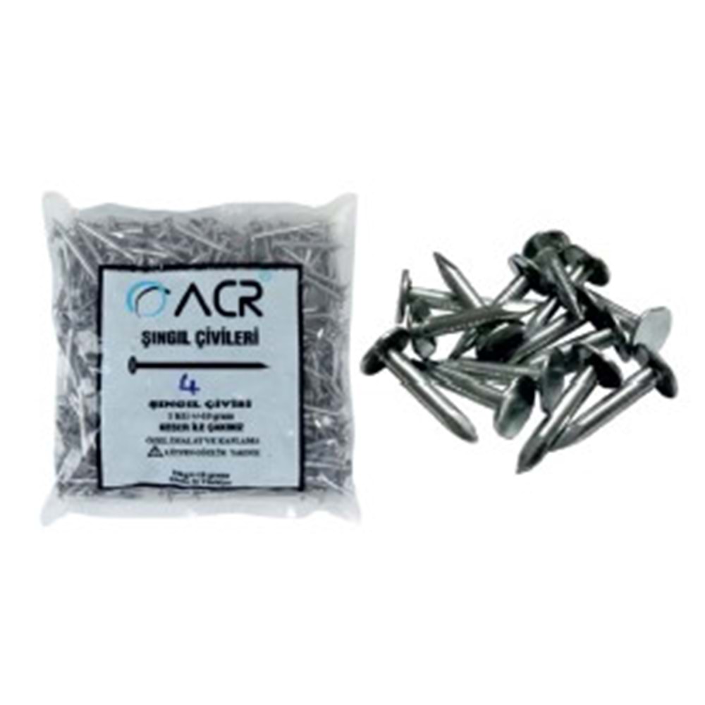 ŞİNGIL ÇİVİSİ (2,5 CM) (1/25)