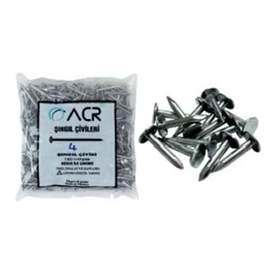 ŞİNGIL ÇİVİSİ (2,5 CM) (1/25)