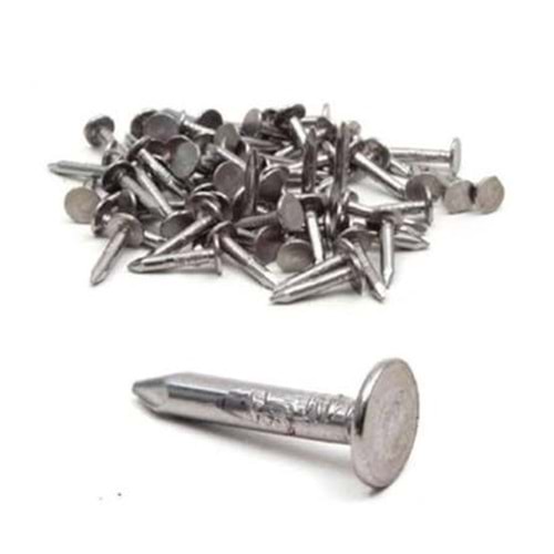 ŞİNGIL ÇİVİSİ (2 CM) (1/25)