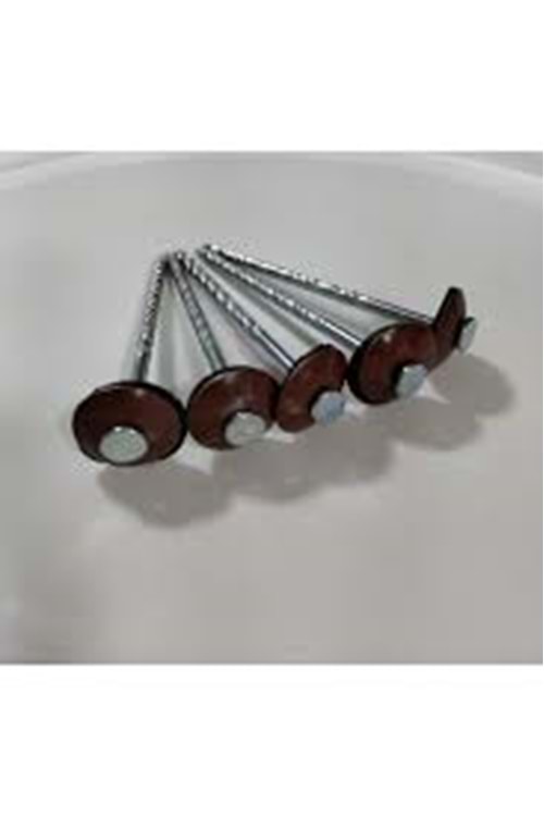 GALVANİZLİ ÇATI ÇİVİSİ (BOYALI)(8 LİK)