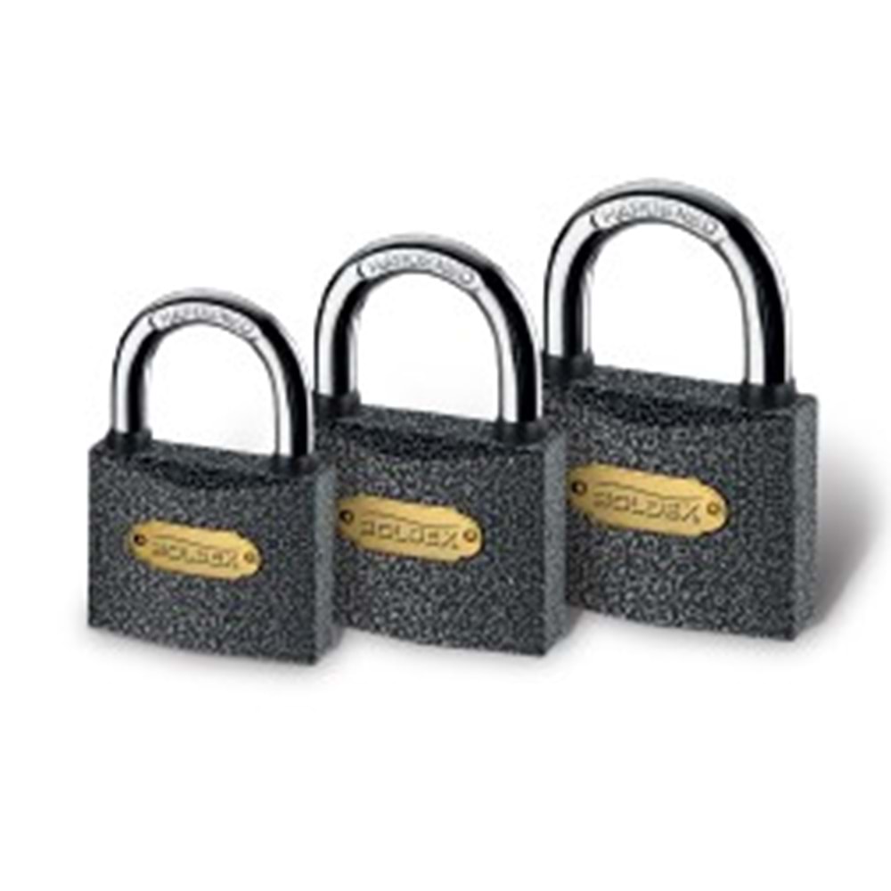 BOLDEX - (GRİ) - ASMA KİLİT (50MM) (1/6)